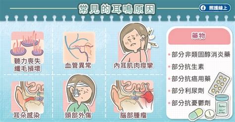 頭轉動耳朵有聲音|耳鳴 ：發生的症狀、造成的原因、如何診斷與治療方法